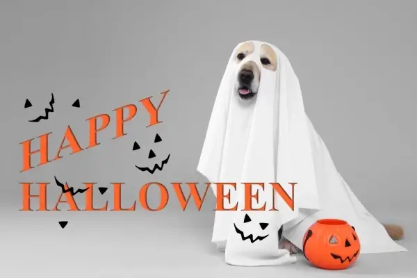 Happy Halloween from ZFG Mortgage LLC